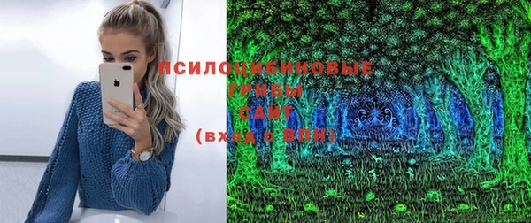 spice Володарск