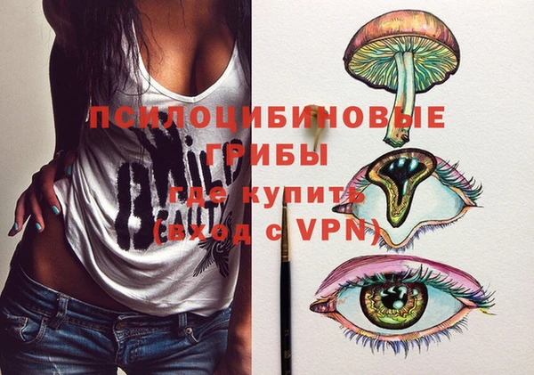 бошки Волоколамск